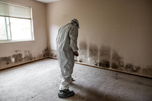 Best Real Estate Mold Inspection  in Bethlehem, NC